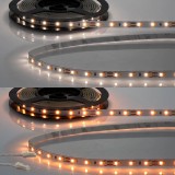 ISOLED LED CRI919/940 MiniAMP Flexband Streifen, 12V, 10W, IP20, weißdyn., 250cm, Kabel beids. + maleAMP, 126 LED/m