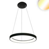 ISOLED LED Hängeleuchte Orbit 480, schwarz, 38W, rund, ColorSwitch 3000/3500/4000K, dimmbar