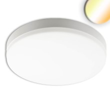 ISOLED LED Decken/Wandleuchte 18W, weiß, IP54, mit Bewegungssensor, ColorSwitch 3000/4000/5000K