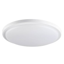 Kanlux 29161 ORTE LED 24W-NW-O Wand-Deckenleuchte