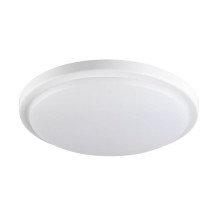 Kanlux 29162 ORTE LED 18W-NW-O-SE Wand-Deckenleuchte