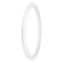 LEDVANCE LED Ringröhre T9 EM KVG 24W 865 G10Q G10q 2900lm 6500K tageslichtweiss wie 40W 4099854042584