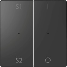 Merten MEG5228-6034 Wippen für Taster-Modul 2fach (Szene1/2, 1/0), Anthrazit, System Design