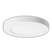 Näve LED Deckenleuchte BONUS Ø16,5cm 11W Steuerbare Lichtfarbe weiß 1384423