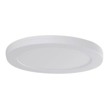 Näve LED Deckenleuchte BONUS Ø21,7cm 17,58W Steuerbare Lichtfarbe weiß 1384523