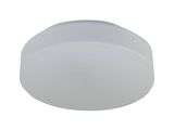 Niermann LED Nurglasleuchte Opal Glas matt 22cm, warmweiss, Made in EU