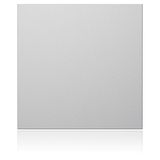 Ritto 1876620 Portier Blindmodul, silber