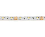 SIGOR 9,6W/m LED-Streifen CCT Tunable White Indoor 5M 24V